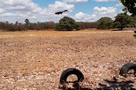 Desportistas cobram apoio do poder público ao futebol amador campos