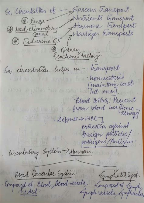 Solution Body Fluid And Circulation Part1 Studypool