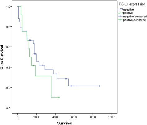 Kaplan Meier Plot Of Survival According To Pd L1 Expression In Tumor