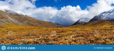 Grizzly Lake In Tombstone Territorial Park Yukon Canada Stock Image