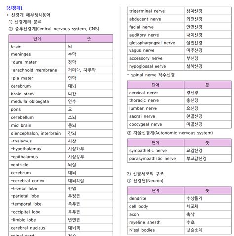 계통별 의학용어 총정리 모음집 크몽