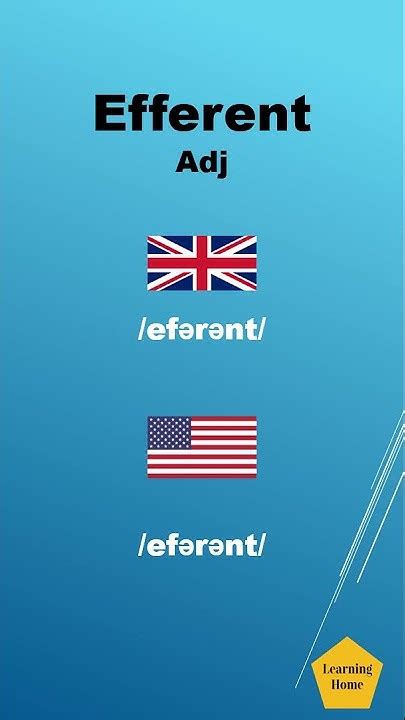 efferent meaning pronunciation  synonyms shorts youtube