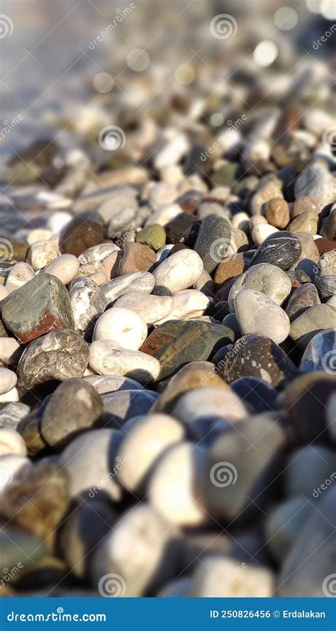 Ondas Ao Largo Sobrevoam Seixos Na Praia Foto De Stock Imagem De