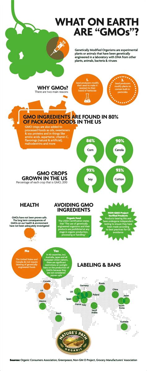 What Are Gmos And Why Do Consumers Care Inforgraphics Explain