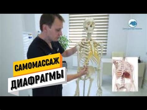 САМОЕ ЭФФЕКТИВНОЕ УПРАЖНЕНИЕ ДЛЯ ДИАФРАГМЫ - YouTube