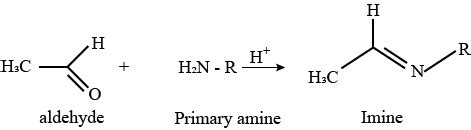 The compound obtained by the reaction between primary amine and ...