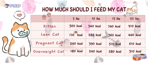 How Much Should I Feed My Cat Feeding Chart Included