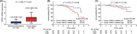 TRPC1 MRNA Expression And Its Correlation With Survival In EC Patients