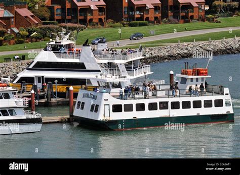 Ferries docked at the ferry terminal, Tiburon, Marin County, California Stock Photo - Alamy