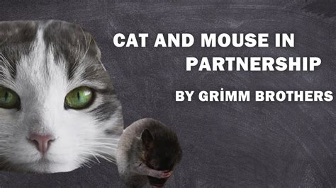 Cat And Mouse In Partnership Grimm S Fairy Tales To Listen The Story Youtube