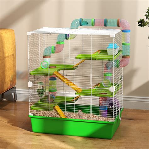 how to hamster injured indoors 6