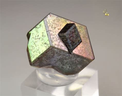 Quebul Fine Minerals Iridescent Rainbow Garnet Var Andradite