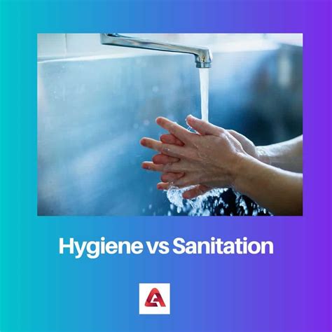 Hygiene vs Sanitation: Difference and Comparison