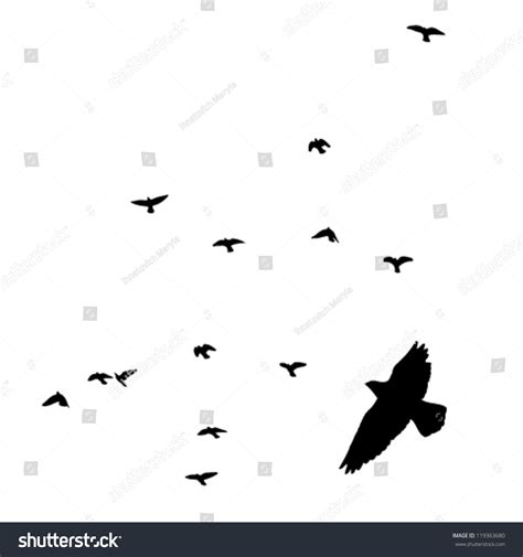 Flock Birds Silhouette Stock Vector (Royalty Free) 119363680 | Shutterstock