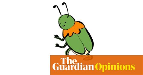 I Think You Can Call Any Art With A Bug In It ‘kafkaesque Toilet Feelings The Guardian