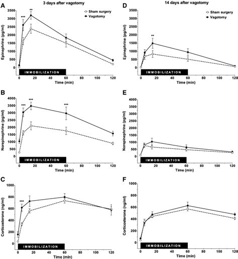 Subdiaphragmatic Vagotomy Enhances Stress Induced Epinephrine Release