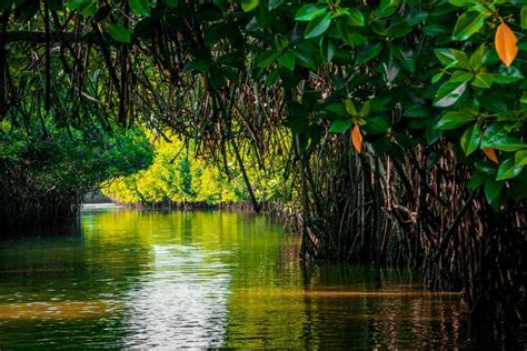 Tourist Places In Cuddalore District Tamildot