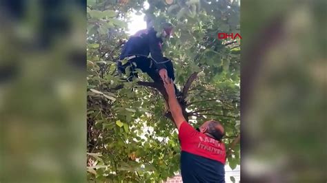 Nusaybin de mahsur kalan kumru itfaiye ekipleri tarafından kurtarıldı