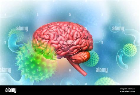 Virus With Human Brain 3d Illustration Stock Photo Alamy