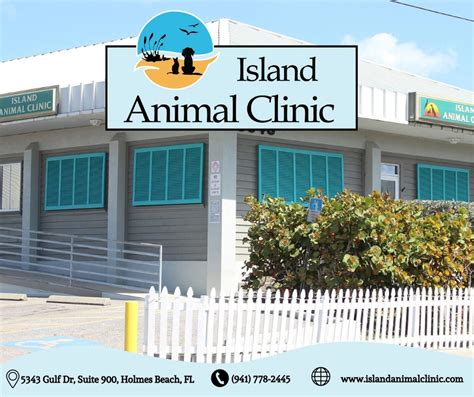 Island Animal Clinic - Animal Clinic - Holmes Beach, Florida