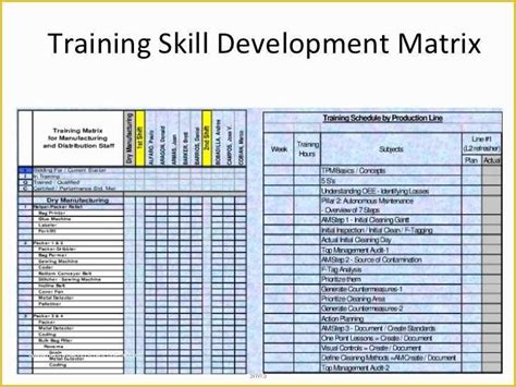 Staff Training Matrix Template