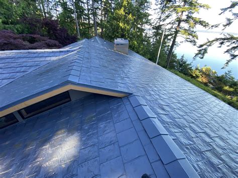 Keeping Your Seattle Roof Clean and Beautiful — DAPrDAN