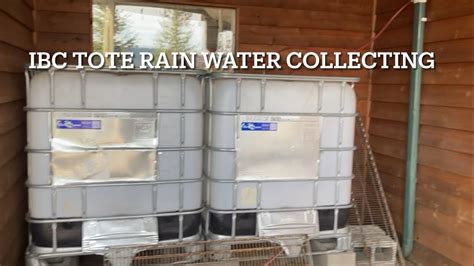 DIY Rainwater Collection Using IBC Totes YouTube