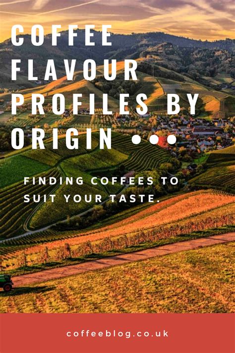 Coffee Flavour Profiles By Origin Finding Coffees To Suit Your Taste