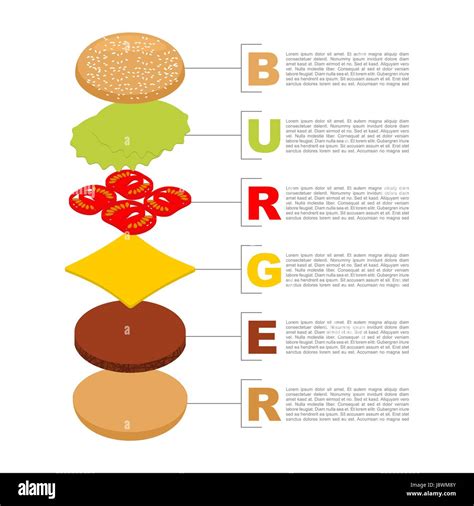 Burger Infographics Structure Of Hamburger Isometrics Fresh Bun