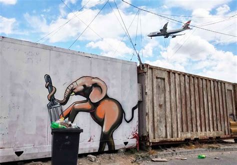 Elephant Graffiti Art In South Africa To Give People Hope