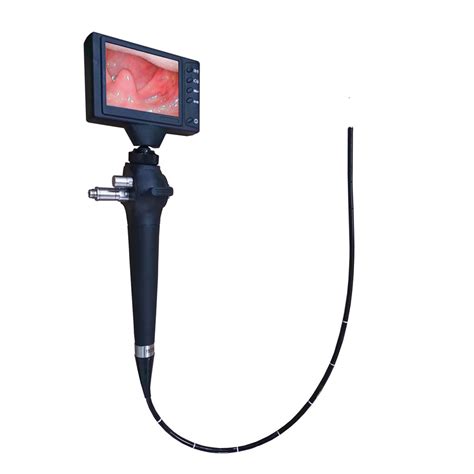 Medical Video Gastroscope Colonoscope Bronchoscope Rigid For Vet