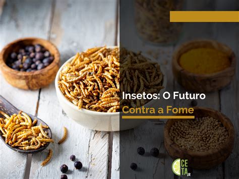 Insetos O Futuro Contra A Fome CETA Jr