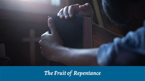 The Fruit of Repentance | Devotional | Bible Study Media