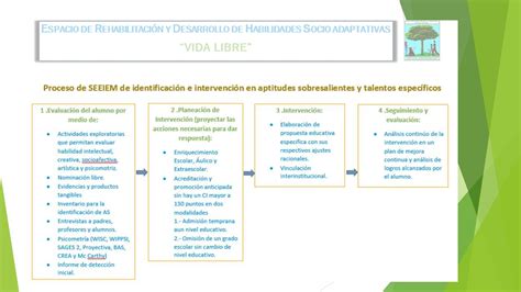 Taller Intensivo De T Cnicas De Diagn Stico E Intervenci N En Aptitudes