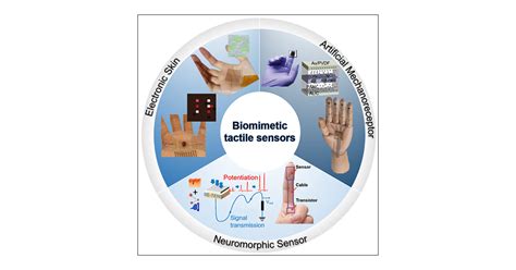 Biomimetic Tactile Sensors Based On Nanomaterials Acs Nano