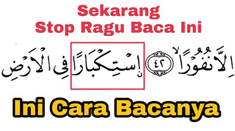 Stop Ragu Lagi Ini Cara Baca Surat Fathir Ayat Belajar Nun