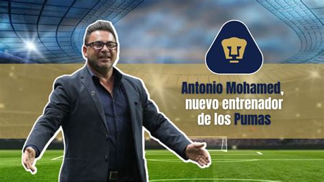 Antonio Mohamed Será El Próximo Director Técnico De Los Pumas