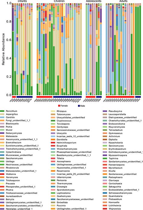 Stacked Bar Plot Representation Of The Relative Abundances At The Genus Download Scientific