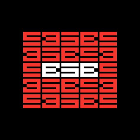 bsb visual identity behance