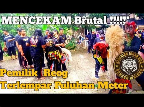 Ada Apa Dengan Sang Maestro Dor Sampai Pemilik Reog Ditendang