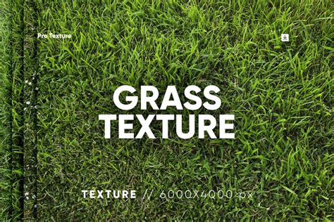 15+ Grass Photoshop Brushes, Textures & Patterns | Design Shack