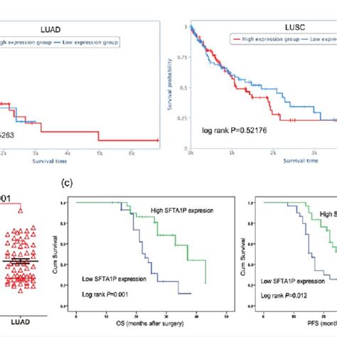 Decreased Sfta P Expression Is Associated With Luad Patients Shorter