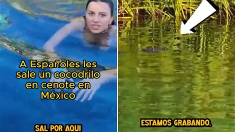 Españoles Se Llevan Fuerte Susto En México Hallan A Cocodrilos En Cenote Donde Nadaban Video