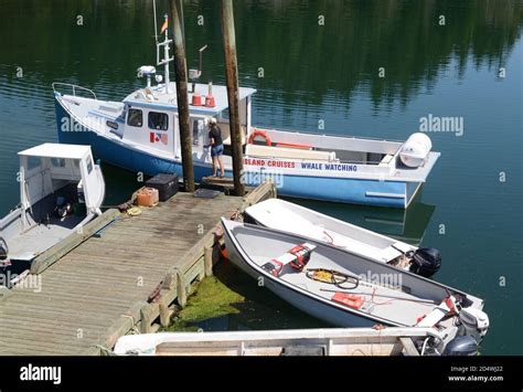 Whale watching boat, Campobello Island Stock Photo - Alamy