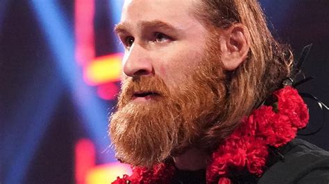 Sami Zayn Age Height Real Name Parents Religion Career Wwe The