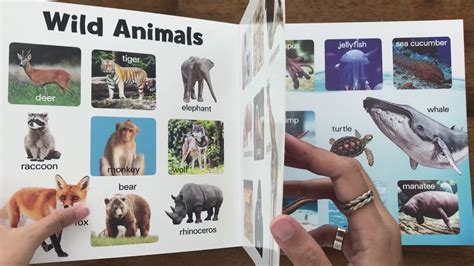 100 First Animals Board Book Youtube