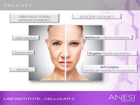 SEMINARIO ANESI PROCESO DE ENVEJECIMIENTO CUTÁNEO COMO SE PRODUCE Y
