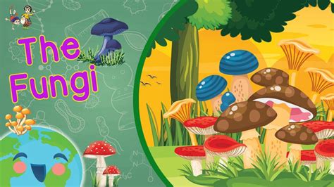 Fungi For Kids The Fungi Kingdom Learning Videos For Kids Youtube