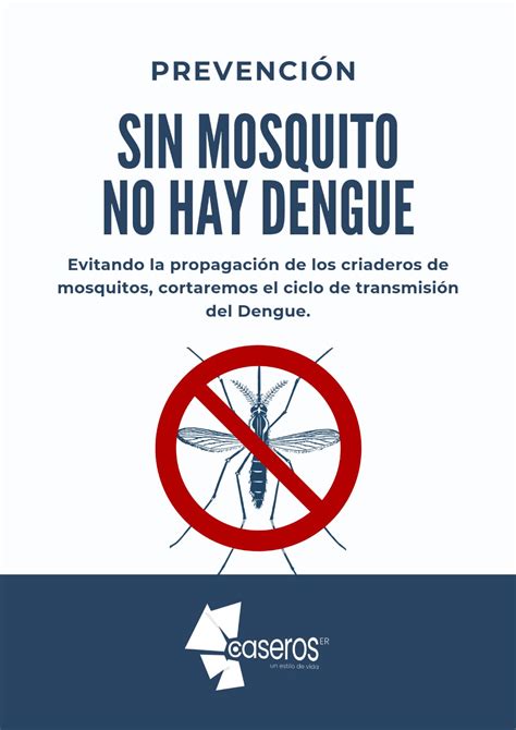 Dengue qué es un bloqueo y en qué consiste GENESIS24 NET Portal