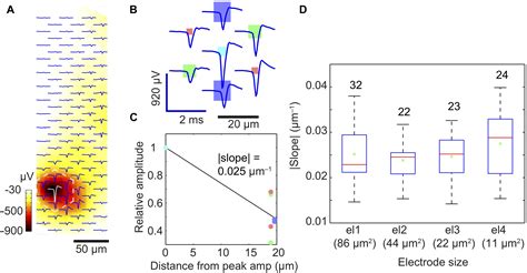 Frontiers Optimal Electrode Size For Multi Scale Extracellular Potential Recording From